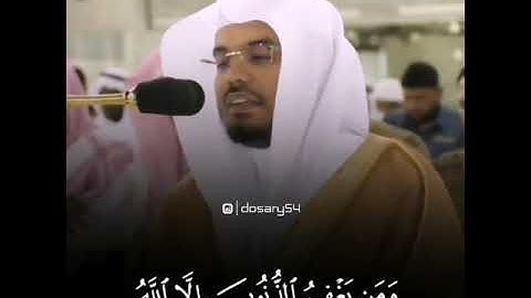 القارئ ياسر الدوسري | ارح سمعك.. تلاوة هادئة تريح القلب والعقل💙🎧