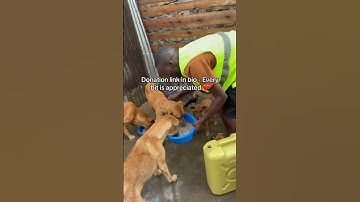 Ways to donate in our bio - Every bit counts ❤️