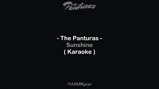 The Panturas - Sunshine ( Karaoke - Remake )