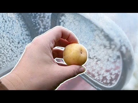 How to defrost car windows quickly: Use a potato, rubbing alcohol