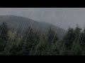 Rainy Day in Forest 10hrs. Peaceful RAIN sounds for relaxation and Sleep | Rain Showers in Forest