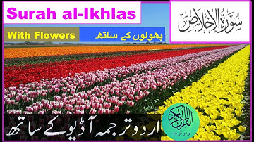 Surah Ikhlas with Urdu Translation Audio | سورة الاخلاص اردو ترجمہ کے ساتھ | with Beautiful Flowers