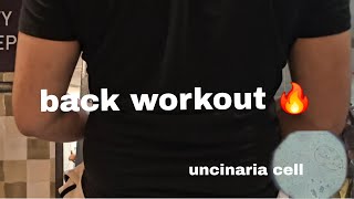 Uncinaria Cell Under The Microscope