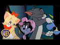 Tom et jerry en franais   les chats parrrrfaits   wbkidsfrancais