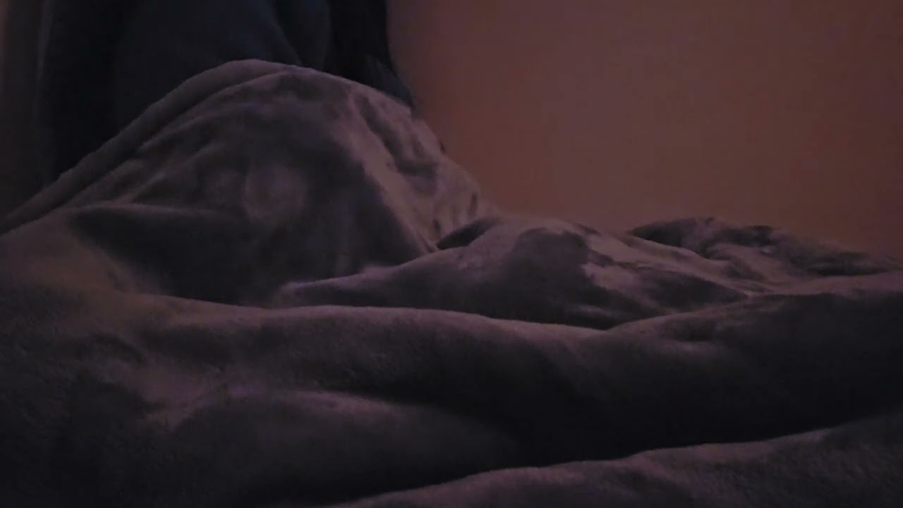 Day Day Meditate #173 - 20260220am