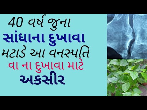 સાંધાના દુખાવા ની દેશી દવા || વા ની દેશી દવા || વર્ષો જૂનો સંધિવા મટી શકે