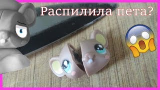 LPS:эксперименты/Сломала пета?! :( /Candy cat official/ LPS:эксперименты/Сломала пета?! :( /Candy cat official/