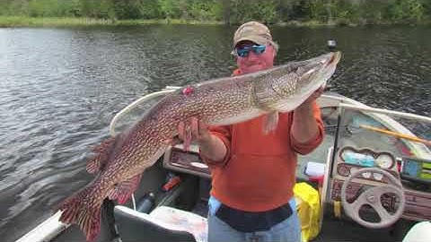 The Nipigon Chronicles 2014