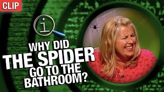 Why Did The Spider Go To The Bathroom? | QI