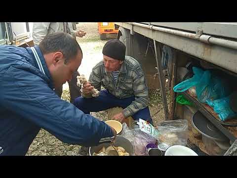 Будни зерновоза, особенности национальной работы.