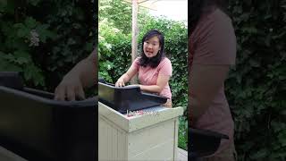 Wat Kun Je Zaaien In Juli? Zaai Nu Zodat Je In De Winter Ook Uit Je Tuin Kunt Oogsten.