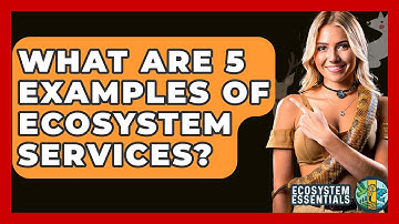 What Are 5 Examples Of Ecosystem Services? - Ecosystem Essentials