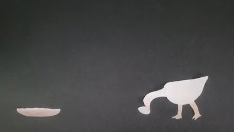 Fixed Action Patterns