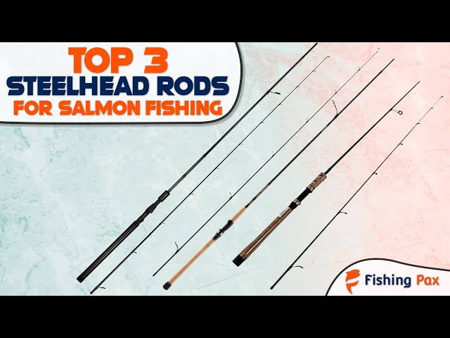 Best Steelhead Rods For Salmon Fishing 