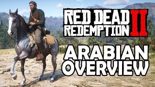 Arabian Overview | Red Dead Redemption 2 Horses
