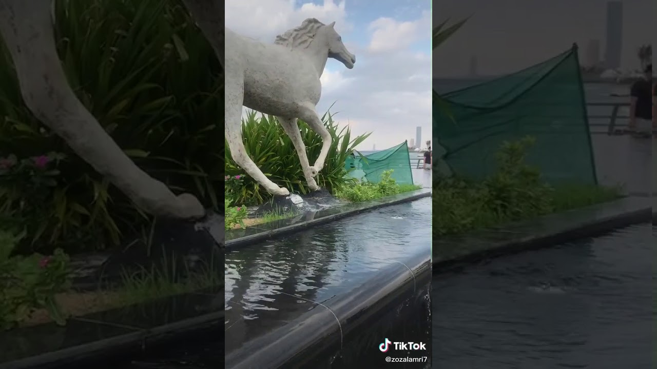 يابحر لو اكتب ابياتي على موجك رساله