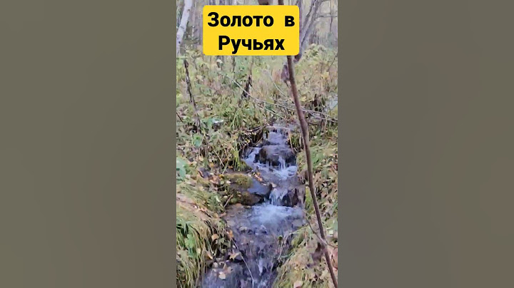 Золото Живет В Восточном Казахстане