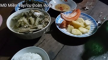 Làm món chuột xào lá cách cực thơm/mđ miền tây/cụ đoàn vlog