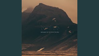 With Broken Wings and Giants Tall - Bvdub