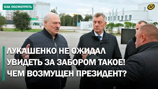 видео: Лукашенко не сдержал эмоций: Не будет дисциплины – у тебя ничего не будет! / Визит в Шкловский район картинка: Лукашенко не сдержал эмоций: Не будет дисциплины – у тебя ничего не будет! / Визит в Шкловский район