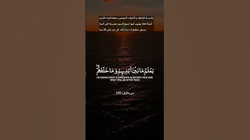 اكتشف نعمة السكينة والهدوء من خلال تلاوة القرآن الكريم #القرآن_الكريم #راحة_نفسية #الرحمن #المصحف