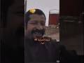 شاي الصيفي شاي الصيفي