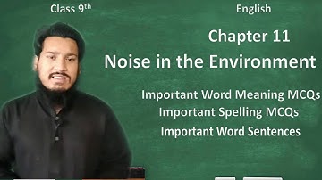 English 9th Chapter 11 Past Paper MCQs Noise in the Environment