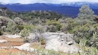 Homes for Sale - 41.44 AC Flying O Ranch Trl Coarsegold CA 93614 - David Sprinkel