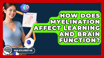 How Does Myelination Affect Learning And Brain Function? - Brain Development Hub