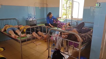 HÀNG TRĂM NGƯỜI NGỘ ĐỘC SAU TIỆC CƯỚI | HAI LÚA TV