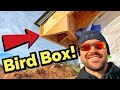 How To Build A Bird Box For Soffit On A House