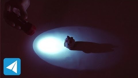 Size and direction of shadows | Light | Physics