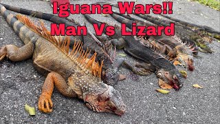 Pcp air Rifle Iguana Hunting! UMAREX Gauntlet .22 iguana Removal!