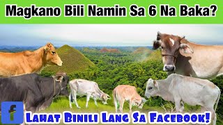 PAGSISIMULA NG BAKAHAN: MAGKANO BILI NAMIN SA ANIM NA BAKA???