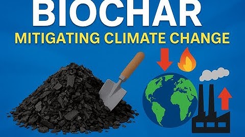 How Biochar Can Save Our Planet from Climate Change 🌍 | Complete Guide