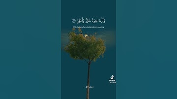 تلاوة مريحة للقلب💚 من سورة الأعلى للقارئ ماهر المعيقلي 🥀/ حالات واتس اب دينية