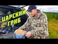 РЫЖИКИ  - царские грибы! 800₽ пол литра.