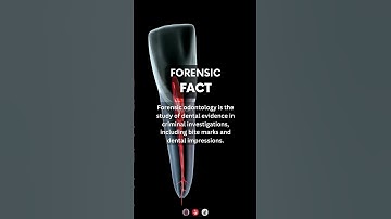 Forensic Odontology | #forensicscience #forensics