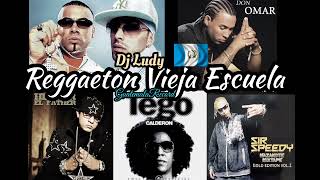 Reggaeton Vieja Escuela Mix (Clasicos Del Reggaeton) • Dj Ludy • GuatemalaRecord 502