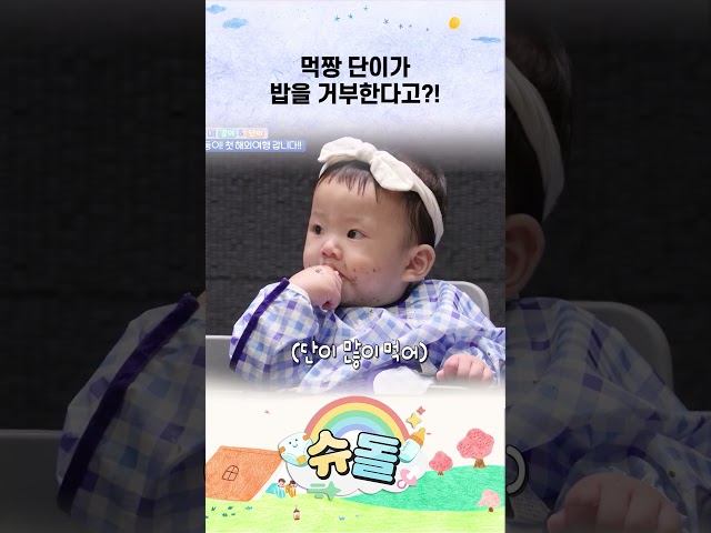 먹짱 단이가 밥을 거부한다고?! #shorts