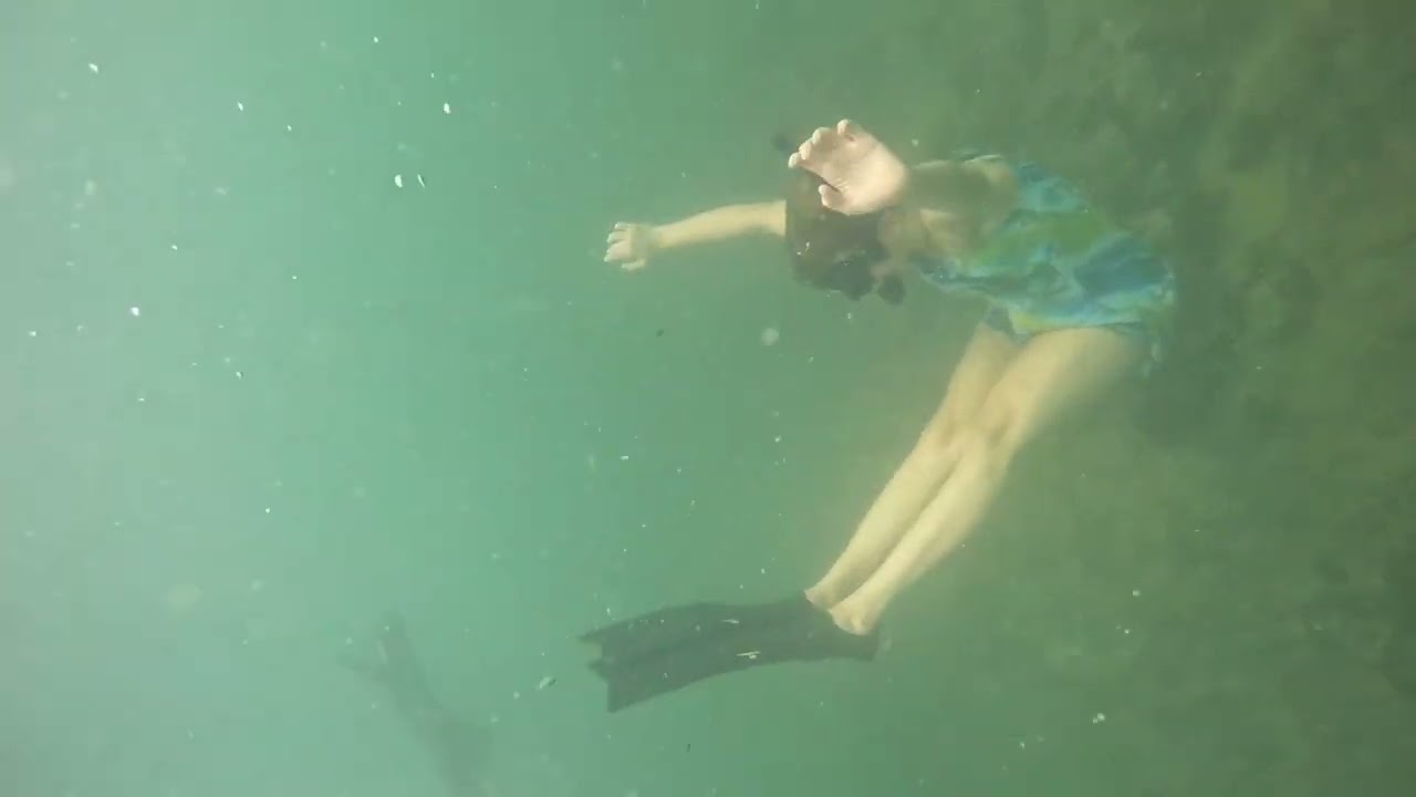 Merger as Research. Porto da Barra Beach, Salvador BA, Brazil, 2025.