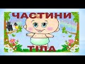 Частини тіла людини. 1 клас.