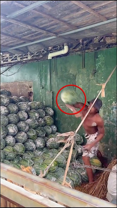 Skill unik untuk menangkap semangka⁉️#skill #keren #shorts