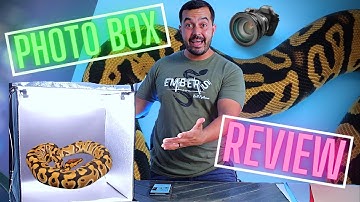 Samtian Photo Studio Light Box Review // Take Your Ball Python Photos To The Next Level!