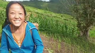 Lub Neej Nyob Toj Siab