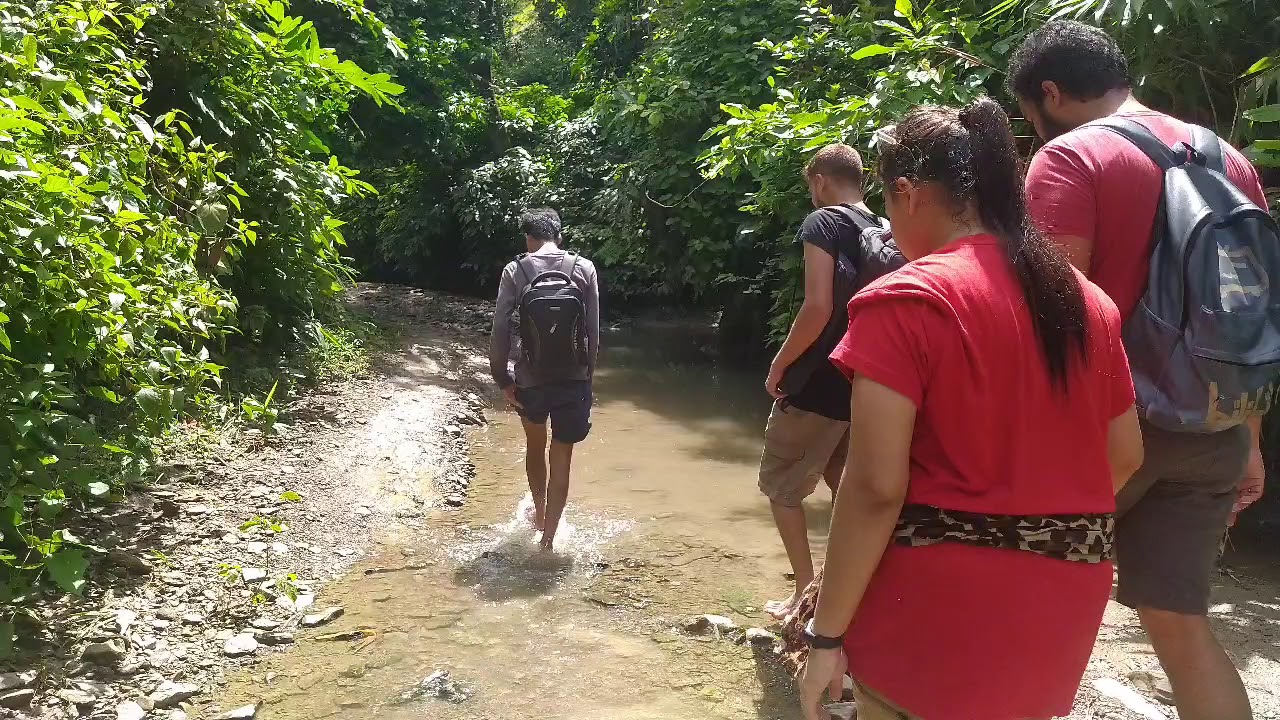 Jhorjhori Trail 🌿💦 || Sitakunda || Wild Trekkers