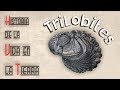 HVT   Trilobites mini documental