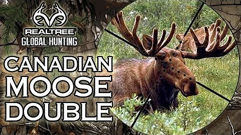 EPIC Canadian Moose Hunt - Two Giant Bulls!
