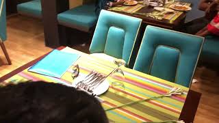 Mann O Salwa Restaurant Beautiful Restaurant In Chittagong