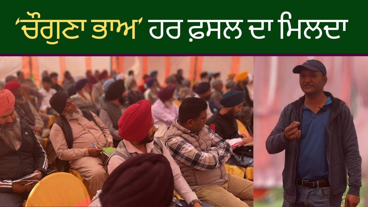 Market News: ਰੇਟ ਤੇ ਮੰਡੀ ਦੀ ਕੋਈ ਫਿਕਰ ਨਹੀਂ #youtubefeed #farming #income #market